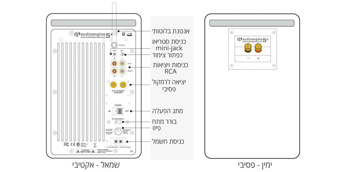 Diagram for Audioengine A5+ Wireless : רמקולים מוגברים אלחוטיים